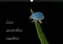 Les insectes audois 2019 : Photographies d'insectes du departement de l'Aude - Book