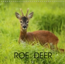 Roe deer 2019 : Roe deer photography - Book