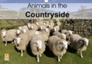 Animals in the countryside 2019 : Rural scenes of livestock out in the countryside of Britain - Book