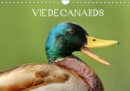 Vie de canards 2019 : Canards aux magnifiques couleurs - Book