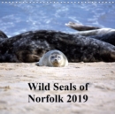 Wild Seals of Norfolk 2019 : Beautiful wild seals in their natural habitat - Book