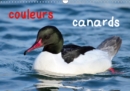 couleurs canards 2019 : Canards aux couleurs variees et enchanteuses - Book