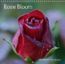 Rose Bloom 2019 : Roses through all seasons - Book