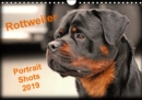 Rottweiler Portait Shots  2019 2019 : Rottweiler Portrait Head Shots - Book