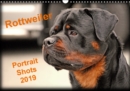 Rottweiler Portait Shots  2019 2019 : Rottweiler Portrait Head Shots - Book
