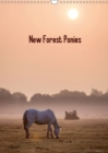 New Forest Ponies 2019 : Calendar of New Forest ponies at sunrise - Book