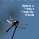 Pictures of Wirral's Wonderful Wildlife 2019 : A collection of pictures of wildlife taken on The Wirral. - Book