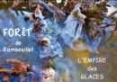Foret de Rambouillet - l'empire des Glaces 2019 : La foret de Rambouillet en hiver - Book