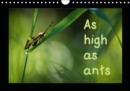 As high as ants 2019 : macrophotographs of insects of the Pyrenees - Book
