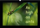 As high as ants 2019 : macrophotographs of insects of the Pyrenees - Book