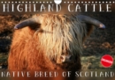 Highland Cattle - Native Breed of Scotland 2019 : Highland Cattle, the scottish cattle breed photographed in its own natural habitat. - Book