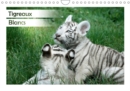 Tigreaux Blancs 2019 : Portraits animaliers de tigreaux blancs a la decouverte de leur environnement - Book