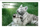 Tigreaux Blancs 2019 : Portraits animaliers de tigreaux blancs a la decouverte de leur environnement - Book