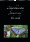 Tropical beauties from around the world 2019 : Simplifying species identification - Book
