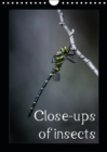 Close-ups of insects 2019 : Portraits of insects of the Pyrenees in their natural environment - Book