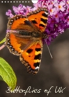 Butterflies of UK 2019 : Some of our more colourful UK Butterflies - Book