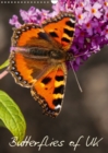 Butterflies of UK 2019 : Some of our more colourful UK Butterflies - Book