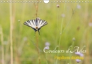 Couleurs d'Ailes 2019 : Papillons diurnes - Book