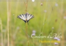 Couleurs d'Ailes 2019 : Papillons diurnes - Book