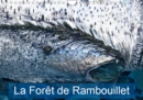 La foret de Rambouillet 2019 : La foret francilienne de Rambouillet - Book
