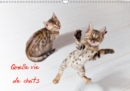 Quelle vie de chats 2019 : Chats et chatons - Book