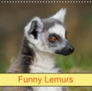 Funny Lemurs 2019 : Ring tailed lemurs in Madagascar - Book