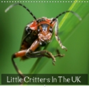 Little Critters In The UK 2019 : World of Insects - Book