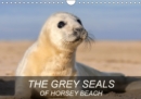 THE GREY SEALS OF HORSEY BEACH 2019 : Beautiful photographs of a British Grey Seal colony. - Book
