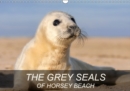 THE GREY SEALS OF HORSEY BEACH 2019 : Beautiful photographs of a British Grey Seal colony. - Book