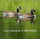 Les oiseaux a Montreal 2019 : Calendrier mensuel avec des photographies du Canada - Book