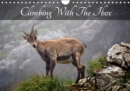 Climbing With The Ibex 2019 : The Allgau Alps - Book