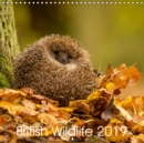 British Wildlife 2019 2019 : Collection of animal photos - Book