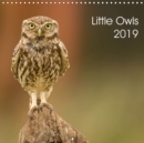 Little owls 2019 : Wild little owls - Book