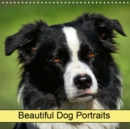 Beautiful Dog Portraits 2019 : Dogs and Pets - Book