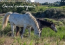 Cheval camarguais 2019 : La beaute du cheval semi-sauvage - Book