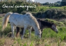 Cheval camarguais 2019 : La beaute du cheval semi-sauvage - Book