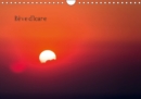 Reve d'Icare 2019 : Photographies aeriennes du soleil couchant - Book