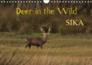 Deer in the Wild Sika 2019 : Wild Sika deer photographed in their natural surroundings - Book