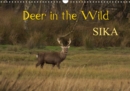 Deer in the Wild Sika 2019 : Wild Sika deer photographed in their natural surroundings - Book