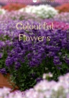 Colourful Flowers 2019 : Stunning images of flowers - Book