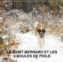 LE SAINT-BERNARD ET LES 4 BOULES DE POILS 2019 : Gardiennage de 5 animaux domestiques en pleine nature - Book