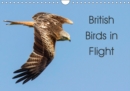 British Birds in Flight 2019 : Birds of Britain in Flight - Book