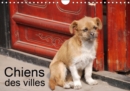 Chiens des villes 2019 : La vie canine en ville - Book