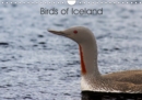 Birds of Iceland 2019 : Beautiful Icelandic Birds - Book