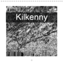 Kilkenny 2019 : Medieval Irish city in dramatic black and white - Book