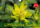 Little Water Pearls 2019 : Droplets adorn plants and blossoms - Book