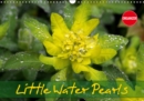 Little Water Pearls 2019 : Droplets adorn plants and blossoms - Book