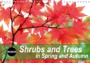 Shrubs and Trees in Spring and Autumn 2019 : Blossoms and berries of shrubs and trees. - Book