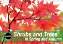 Shrubs and Trees in Spring and Autumn 2019 : Blossoms and berries of shrubs and trees. - Book