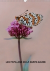 Les papillons de la Sainte-Baume 2019 : Les magnifiques papillons de la Sainte-Baume - Book